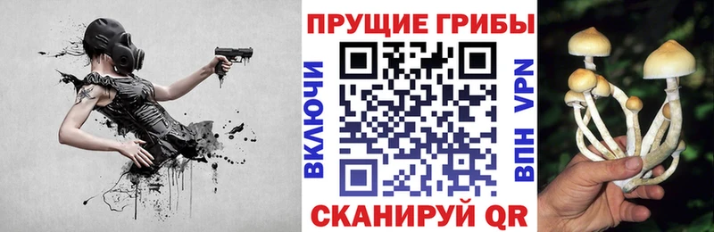 Галлюциногенные грибы MAGIC MUSHROOMS  Урус-Мартан 